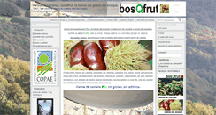 Desktop Screenshot of bosqfrut.com